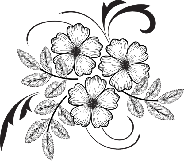 Цветы рисунок