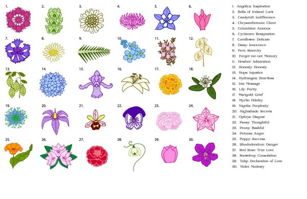 Цветы и их символы