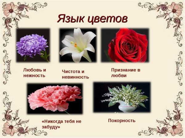 Цветы на языке цветов