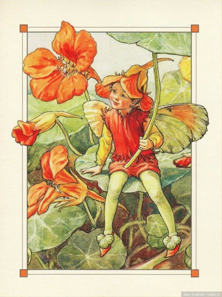 Цветочные феи Сесиль Баркер