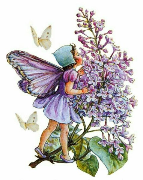 Баркер эльфы Сесиль Мэри