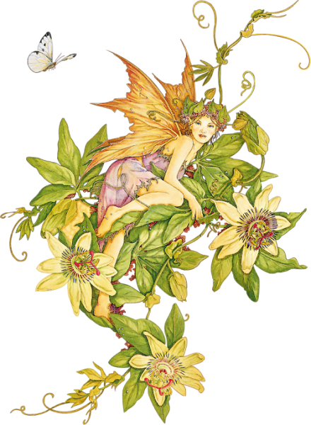 Сесиль Мэри Баркер иллюстрации