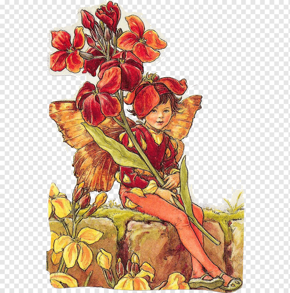 Феи Сесиль Мэри Баркер