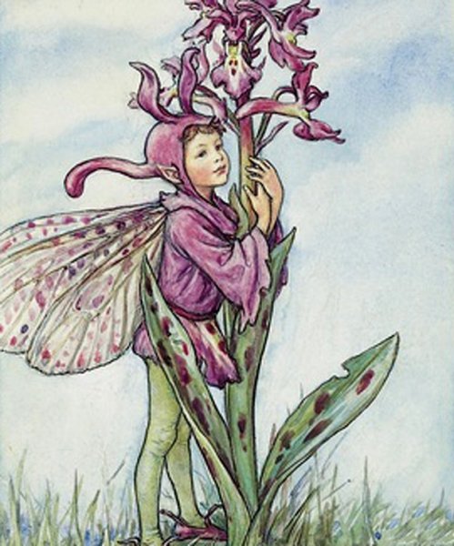 Баркер эльфы Сесиль Мэри