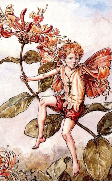 Феи Сесиль Мэри Баркер