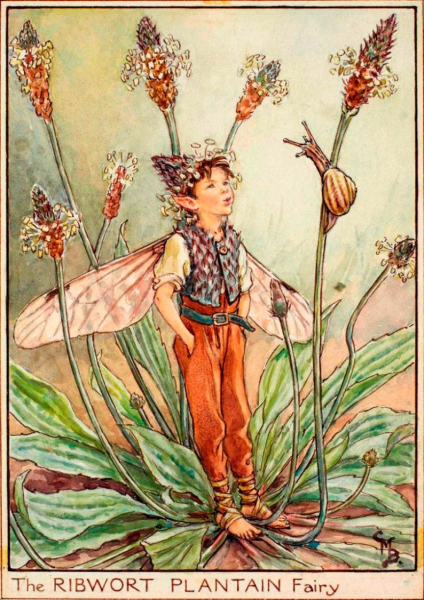 Сесиль Мэри Бейкер