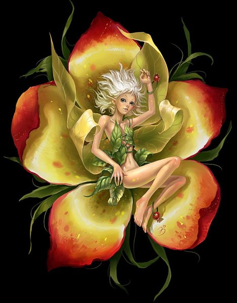 Баркер эльфы Сесиль Мэри