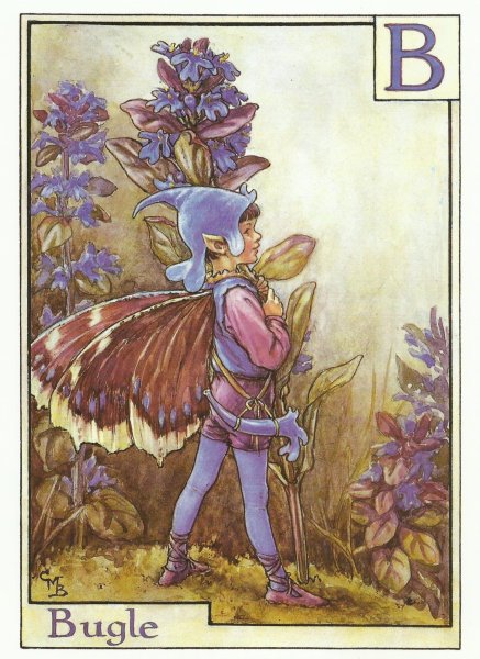 Цветочные феи Мэри Баркер