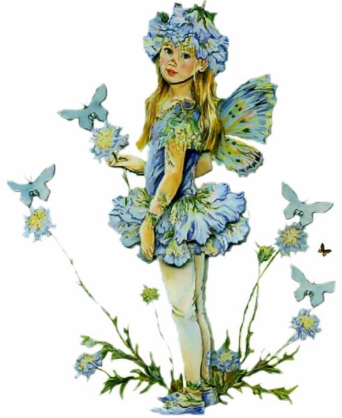 Цветочные феи Мэри Баркер
