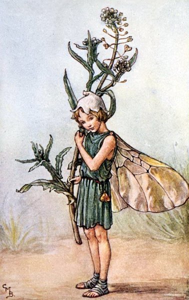 Феи Сесиль Баркер