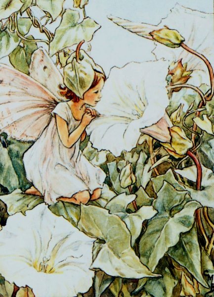 Цветочные феи Мэри Баркер