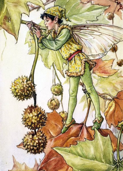 Сесиль Мэри Баркер цветочные феи