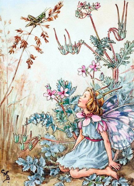 Сесиль Мэри Баркер