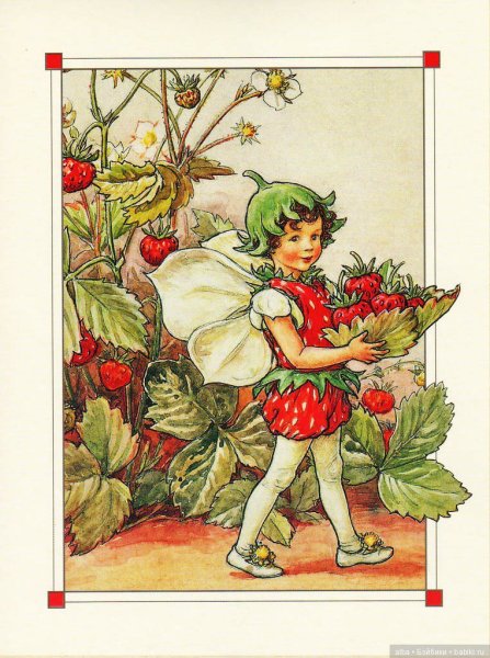 Феи цветов Сесиль Мэри Баркер