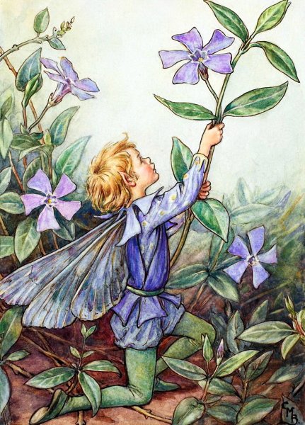 Феи цветов Сесиль Мэри Баркер