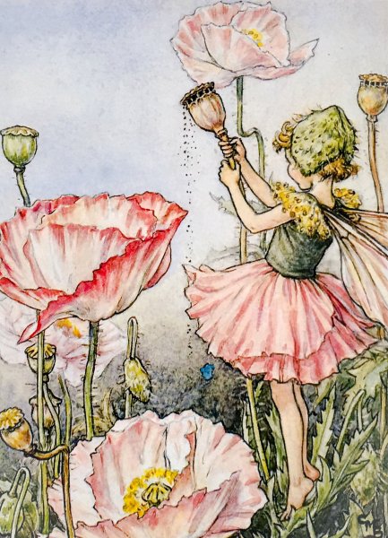 Cicely Mary Barker (1895 – 1973)