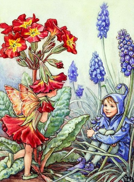 Цветочные феи Сесиль Баркер