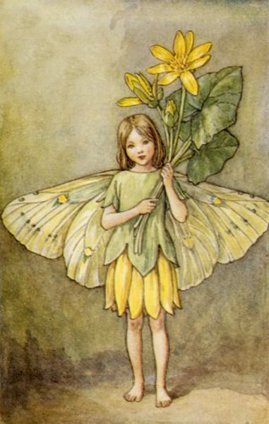 Феи Сесиль Баркер