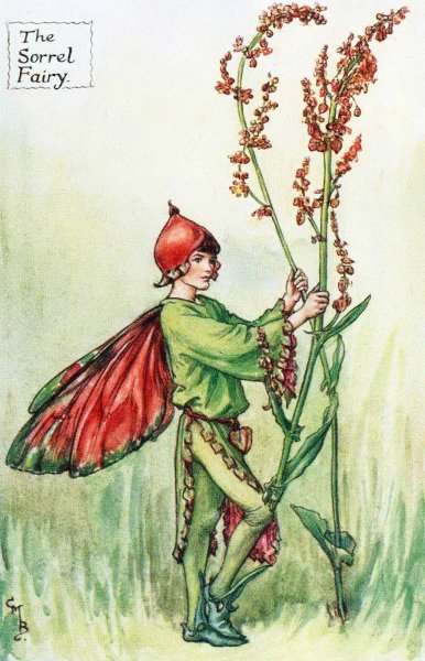 Цветочные феи Мэри Баркер