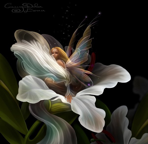 Цветочные феи Мэри Баркер