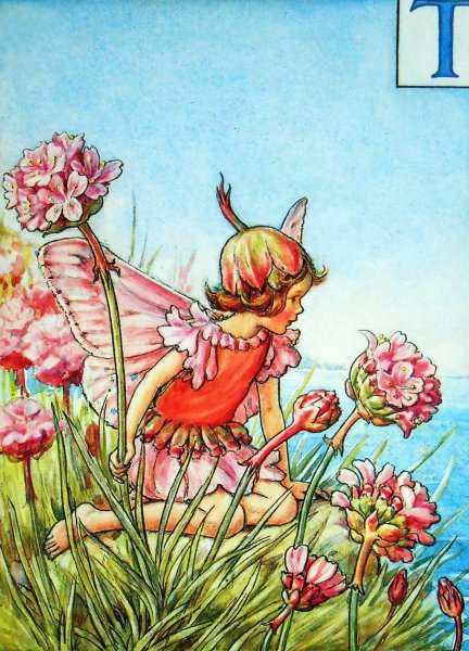 Цветочные феи Мэри Баркер