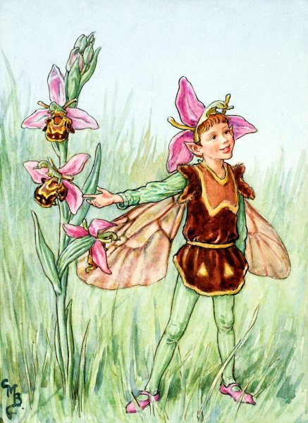 Цветочные феи Сесиль Баркер