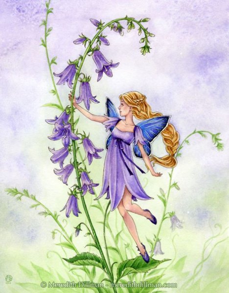 Маленькие эльфы и феи на цветах