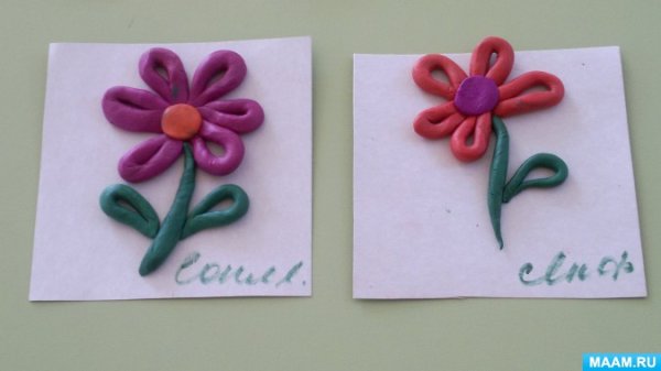 Лепка цветы