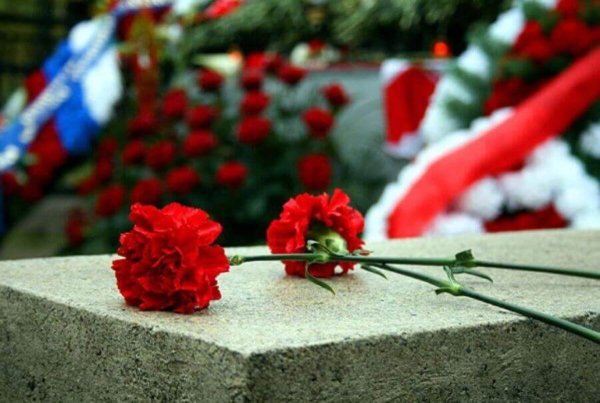 Гвоздики на кладбище