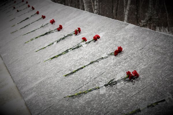Гвоздики на мемориале