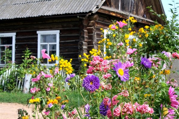 Русская деревня палисадники
