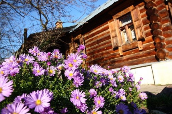 Летние цветы в деревне