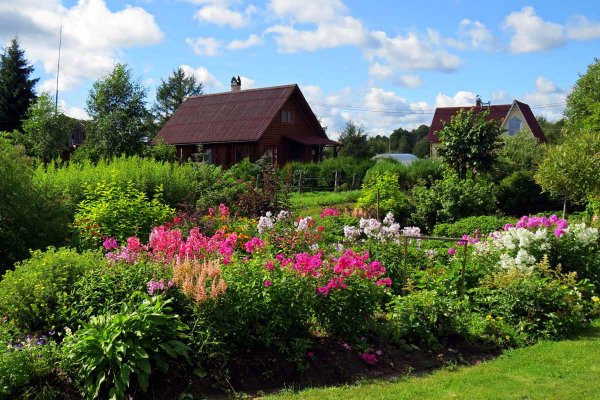 Красивый сад в деревне