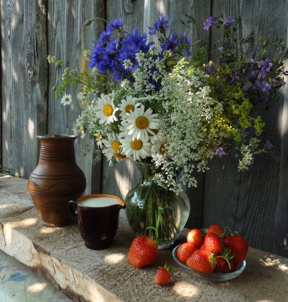 Космея Бабушкин палисадник