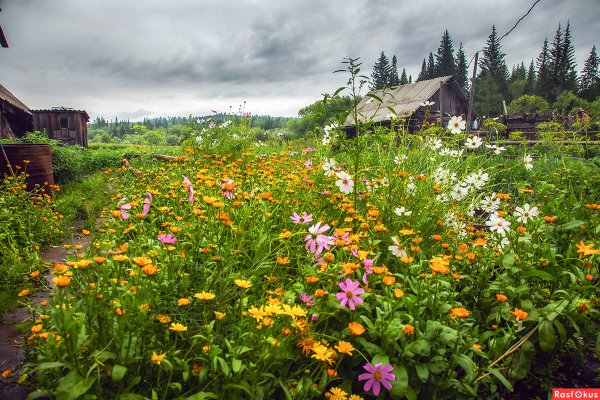 Огород в деревне