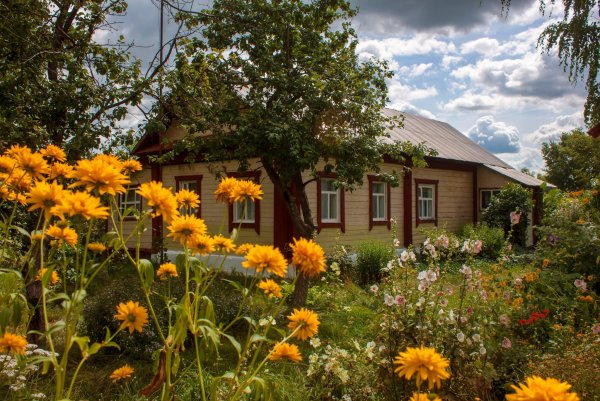 Цветы в деревне