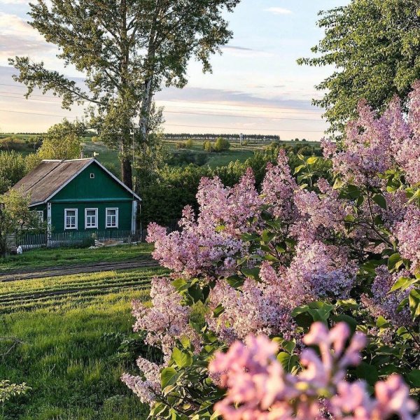 Природа деревня