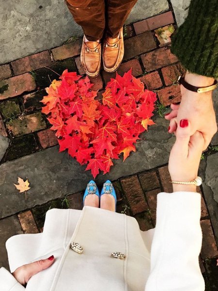 Пара голубей