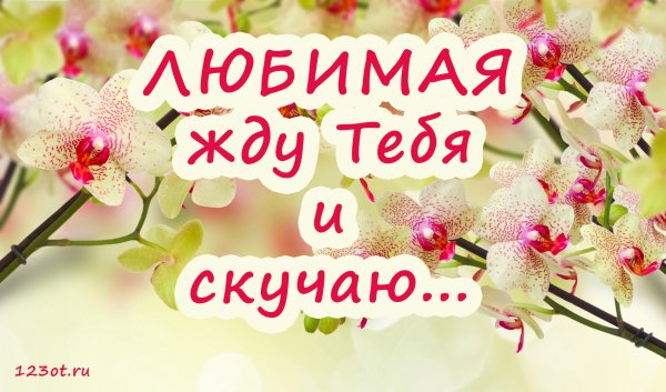 Жду тебя любимый