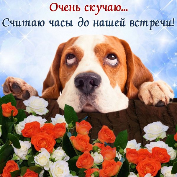 Девушка с котом на подоконнике