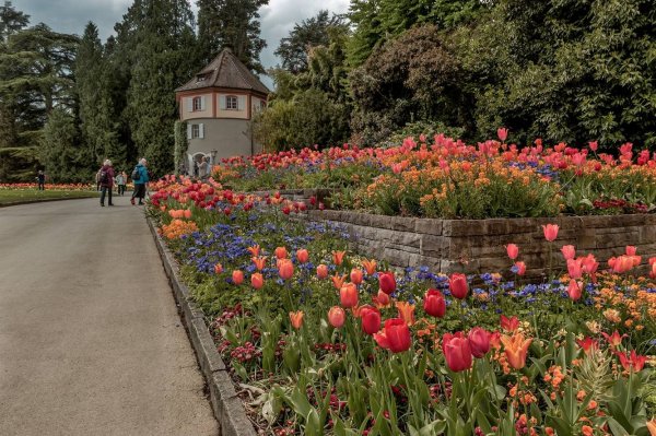 Остров цветов Майнау (Юг Германии, Боденское озеро)