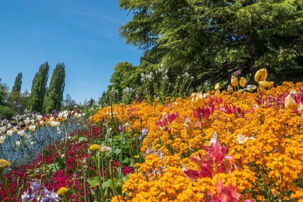 Майнау остров цветов лестница