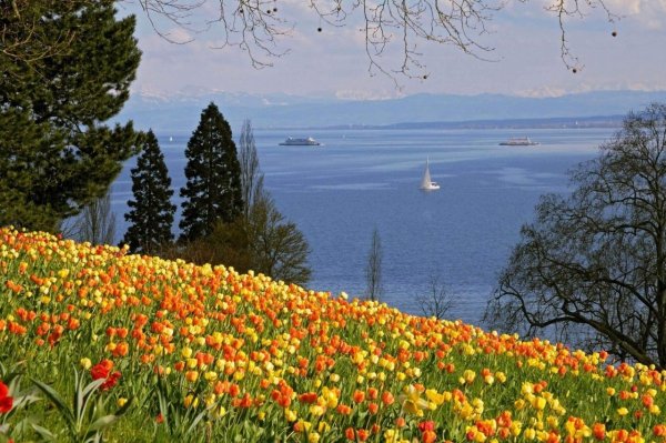 Остров цветов в Германии Майнау