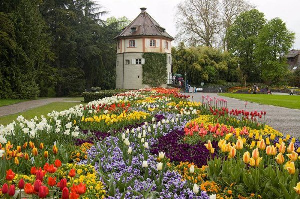 Остров цветов в Германии Майнау