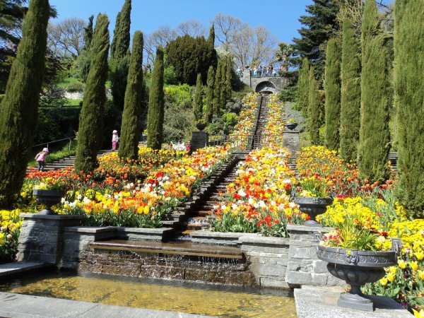 Остров цветов Майнау (Боденское озеро)