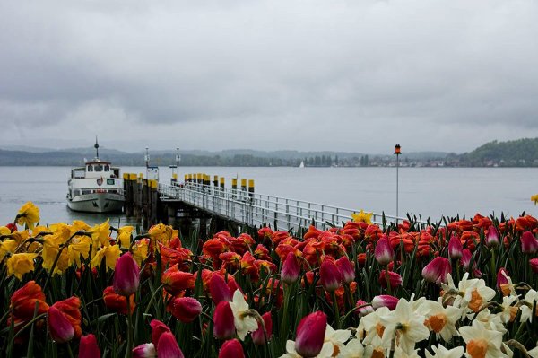 Майнау остров цветов на Боденском озере Германия