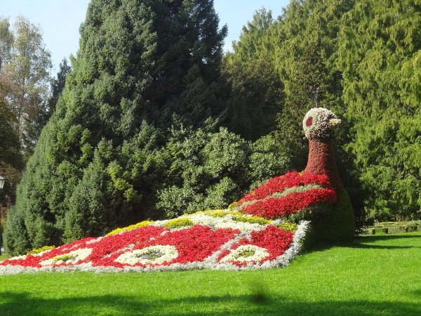 Цветочный остров Майнау