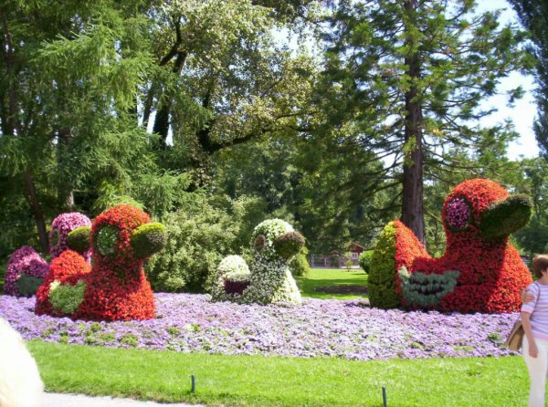 Остров Майнау остров цветов