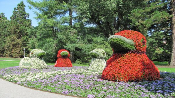 Остров Майнау утки