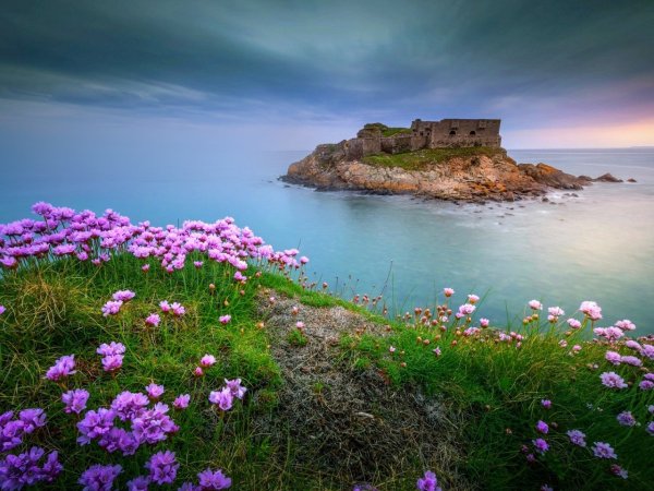 Море скалы цветы